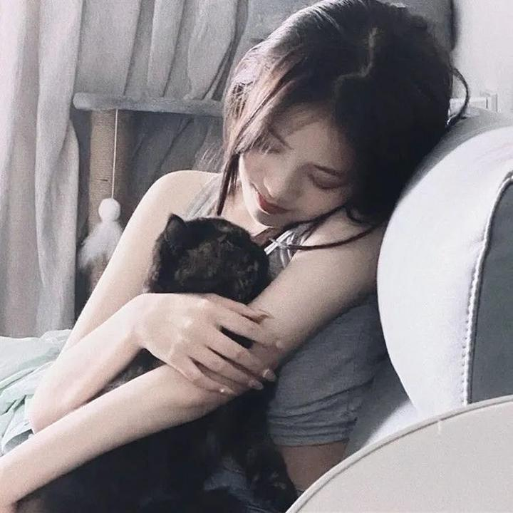 钢之炼金术师FA